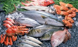Tunisie : hausse de la production halieutique (5 %) et de l'aquaculture (47 %)