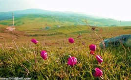 Du partenariat à l'autonomie, le nouvel espoir des agriculteurs libanais du Sud et de la Bekaa