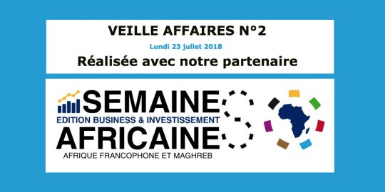 Veille Affaires Afrique n°2 - Extrait de La Semaine Africaine Business & Investissement