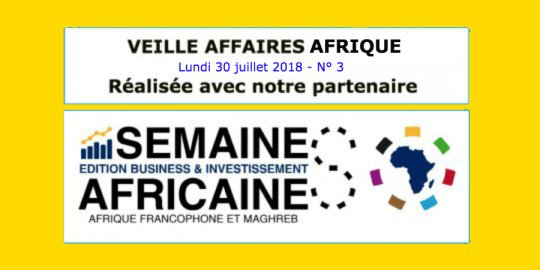 Veille Affaires Afrique n° 3 - Extrait de La Semaine Africaine Business & Investissement