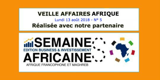 Veille Affaires Afrique n° 5 - Extrait de La Semaine Africaine Business & Investissement