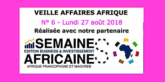 Veille Affaires Afrique n° 6 - Extrait de La Semaine Africaine Business & Investissement