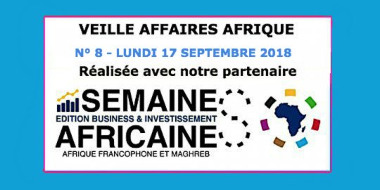 Veille Affaires Afrique n° 8 - Extrait de La Semaine Africaine Business & Investissement