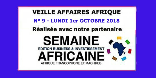Veille Affaires Afrique n° 9 - Extrait de La Semaine Africaine Business & Investissement