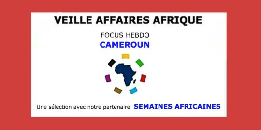 Veille Affaires Afrique n° 16 - Focus CAMEROUN, avec Semaines Africaines