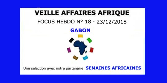 Veille Affaires Afrique n° 18 - Focus GABON, avec Semaines Africaines