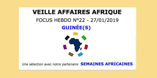 Veille Affaires Afrique n° 22 - Focus GUINÉE(S), avec Semaines Africaines