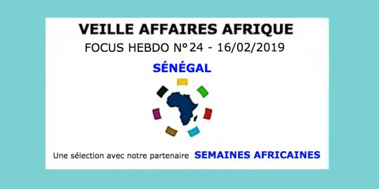Veille Affaires Afrique n° 24 - Focus SÉNÉGAL, avec Semaines Africaines