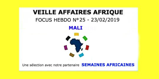 Veille Affaires Afrique n° 25 - Focus MALI, avec Semaines Africaines