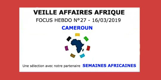 Veille Affaires Afrique n° 27 - Focus CAMEROUN, avec Semaines Africaines