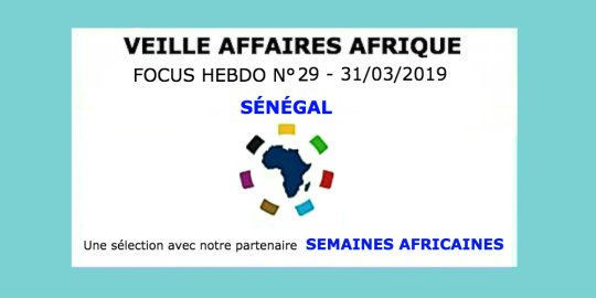 Veille Affaires Afrique n° 29 - Focus SÉNÉGAL avec Semaines Africaines