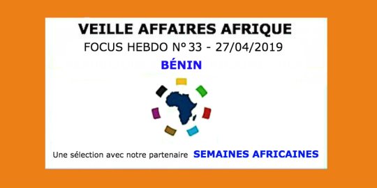 Veille Affaires Afrique n° 33 Focus BÉNIN