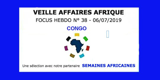 Veille Affaires Afrique n° 38 Focus CONGO