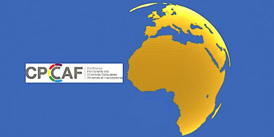 Veille Covid-19 Afrique | La CPCCAF mobilise ses adhérents contre la pandémie et ses conséquences économiques et sociales en Afrique