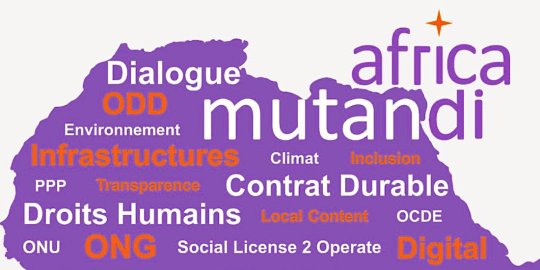 #Veille Covid-19 Afrique - Affectio Mutandi lance AfricaMutandi.com, le site des initiatives françaises à impact contre le Covid-19 et pour les ODD en Afrique