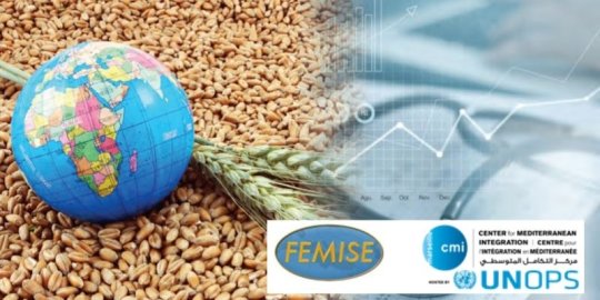 Un nouveau rapport CMI-FEMISE : « L'après Covid-19 : Opportunités de croissance, chaînes de valeur régionales et intégration en Méditerranéenne »