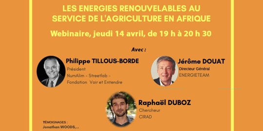 Agenda Paris en ligne, 14/04 (19 h > 20 h 30) - « Les énergies renouvelables au service de l'agriculture en Afrique », un webinaire du Club ESSEC Alumni Africa in France