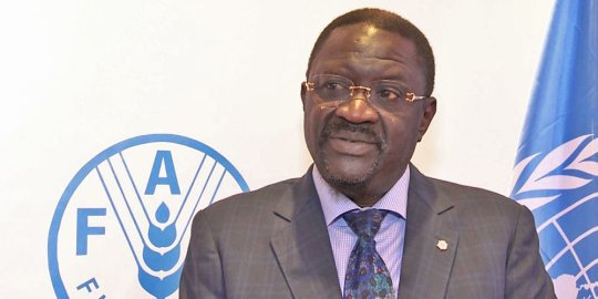 L'ancien ministre sénégalais Dr Papa Abdoulaye SECK : En Afrique « les problèmes de l'agriculture sont 30 % dans les champs et 70 % en dehors des champs » 