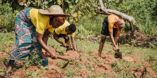 Les facteurs clés et le potentiel humain qui conditionnent l'avancée de l'agriculture digitale en Afrique (BearingPoint)