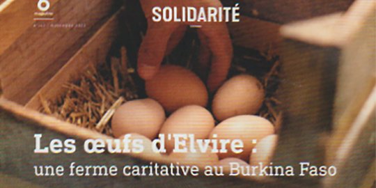 Bonnes nouvelles de la ferme associative franco-burkinabé « Les œufs d'Elvire »