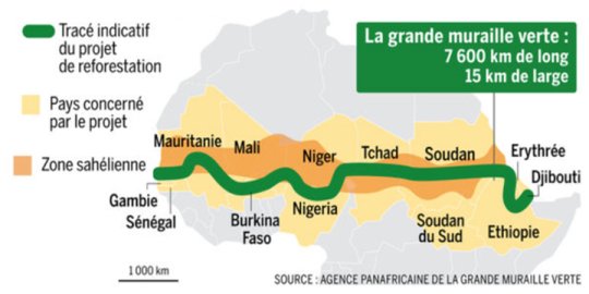 BearingPoint (1/2) / Préservation de la biodiversité et développement économique en Afrique : le rôle clé des entreprises 