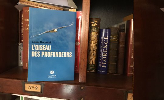 Algérie-France : « L'oiseau des profondeurs », ou la fraternité resurgissante du pays de l'enfance